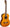 TAKAMINE GC5-NAT