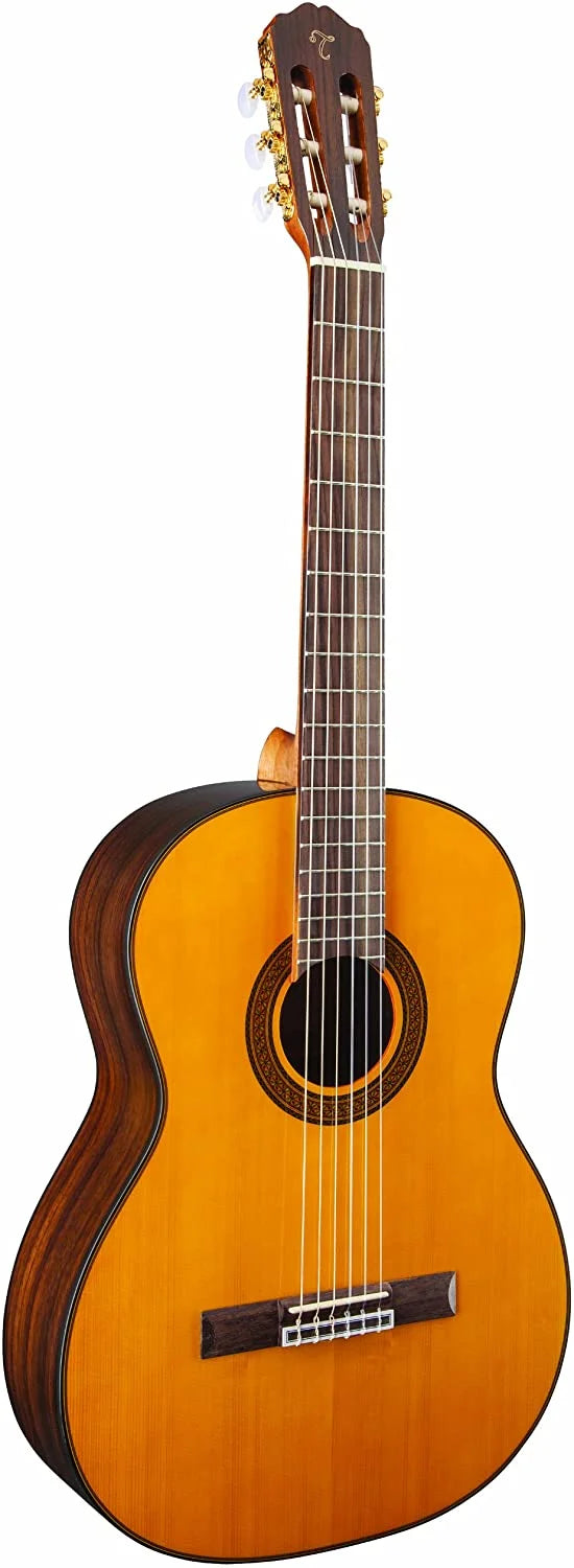 TAKAMINE GC5-NAT