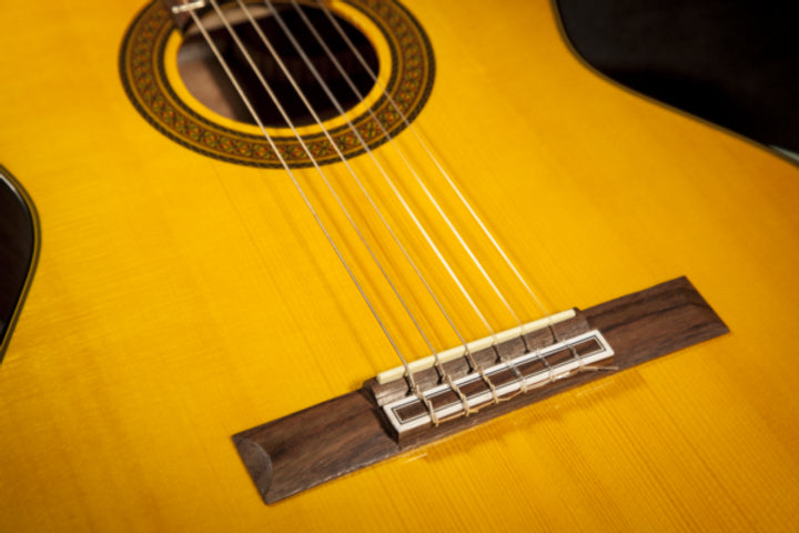 TAKAMINE GC5-NAT