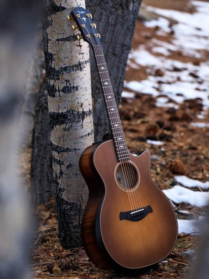 ACOUSTIC GUITARS