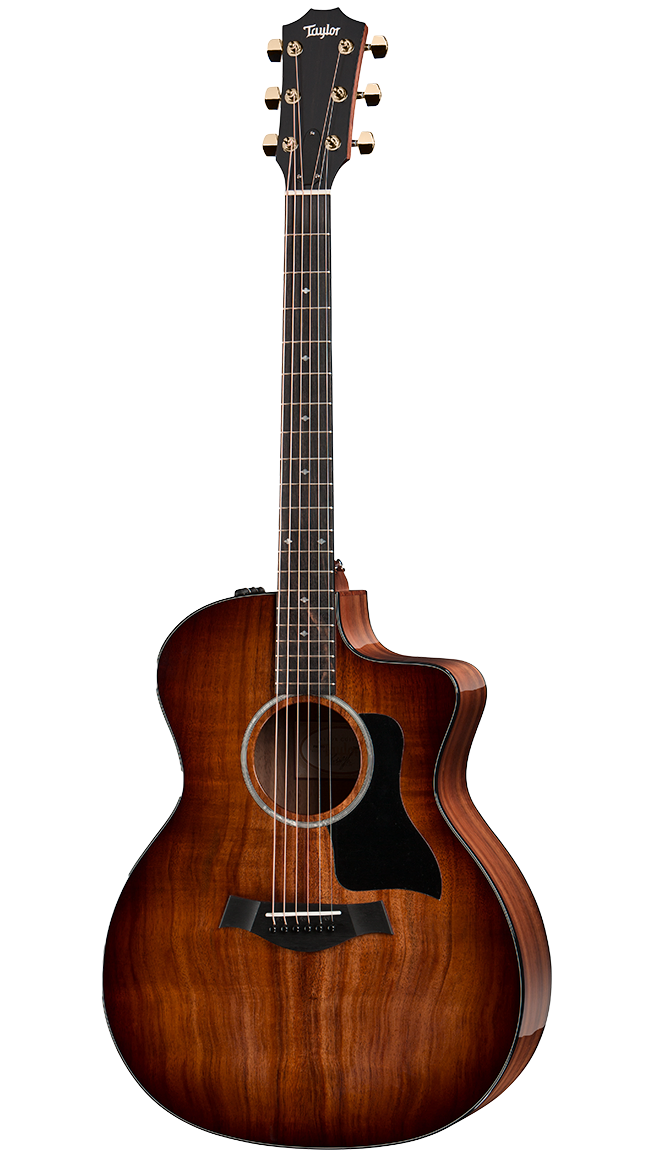 TAYLOR 224CE-K DLX
