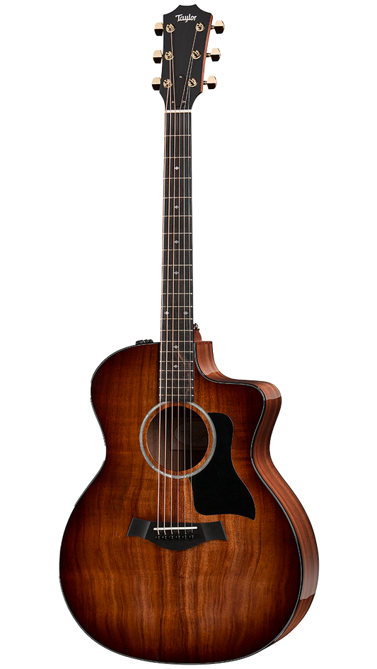 TAYLOR 224CE-K DLX