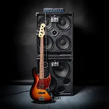 CABEZAL AMPLIFICADOR DE BAJO EBS REIDMAR 502 500W