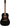 GRETSCH JIM DANDY DELTOLUXE DREADNOUGHT - 271-1230-511