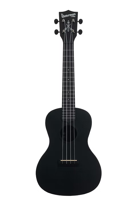KALA WATERMAN BLACK SAND CONCERT UKULELE - KA-WMS-BK-C