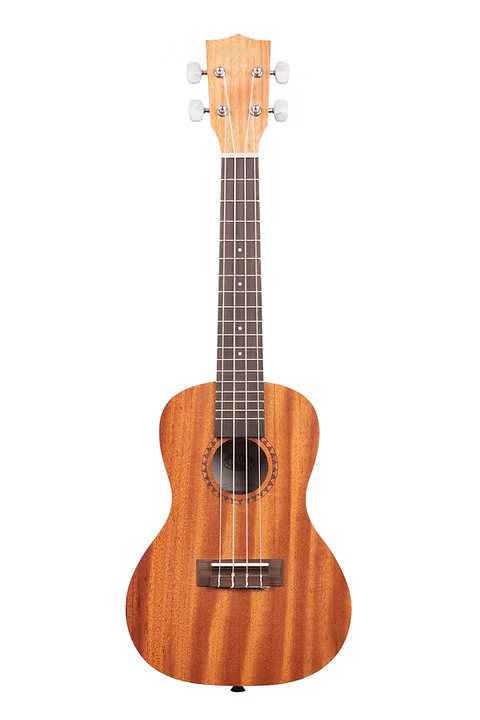 KALA SATIN MAHOGANY CONCERT UKULELE - KA15C2006